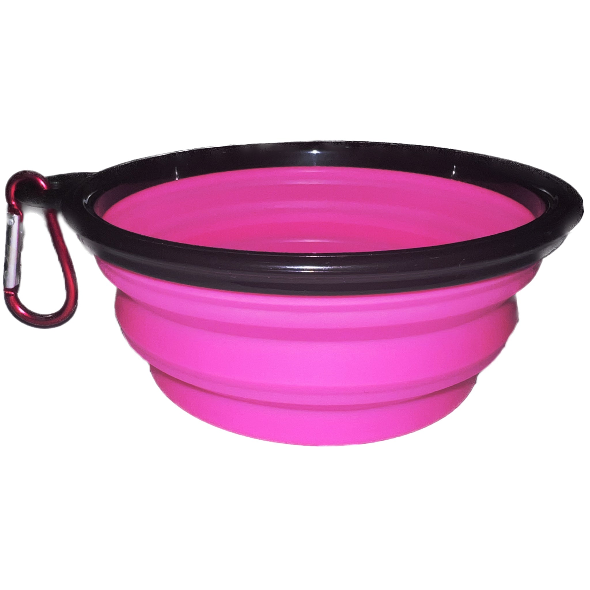 Collapsible Pet Bowl