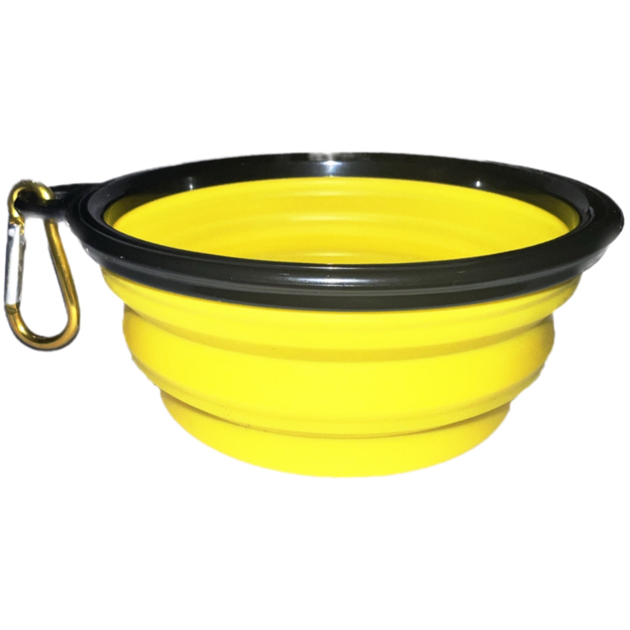 Collapsible Pet Bowl